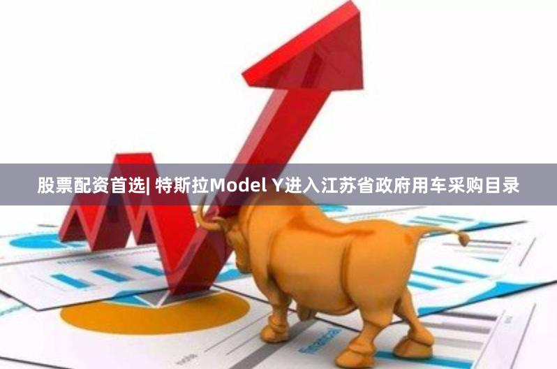 股票配资首选| 特斯拉Model Y进入江苏省政府用车采购目录