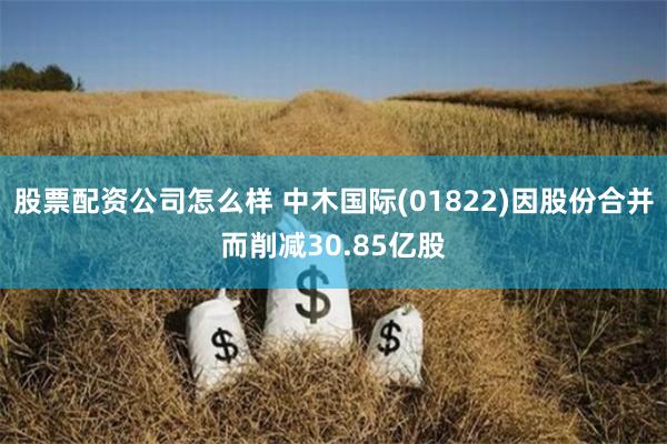 股票配资公司怎么样 中木国际(01822)因股份合并而削减30.85亿股