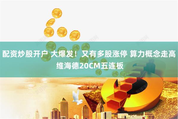 配资炒股开户 大爆发！又有多股涨停 算力概念走高 维海德20CM五连板