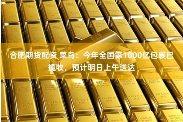 合肥期货配资 菜鸟：今年全国第1000亿包裹已揽收，预计明日上午送达