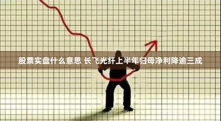 股票实盘什么意思 长飞光纤上半年归母净利降逾三成