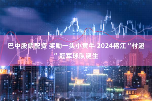 巴中股票配资 奖励一头小黄牛 2024榕江“村超”冠军球队诞生